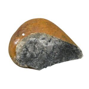 Polished Fossilized Stone Half With Natural Brown & Gray Hues 2x1.5" READ